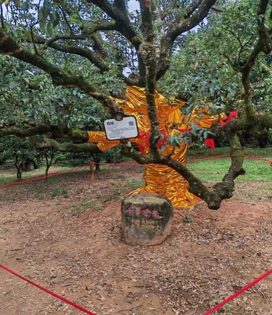 c934e715abd61fc8b74083b832907e9