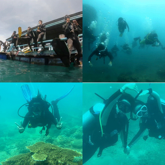 图示, 示意图

中度可信度描述已自动生成:ver1