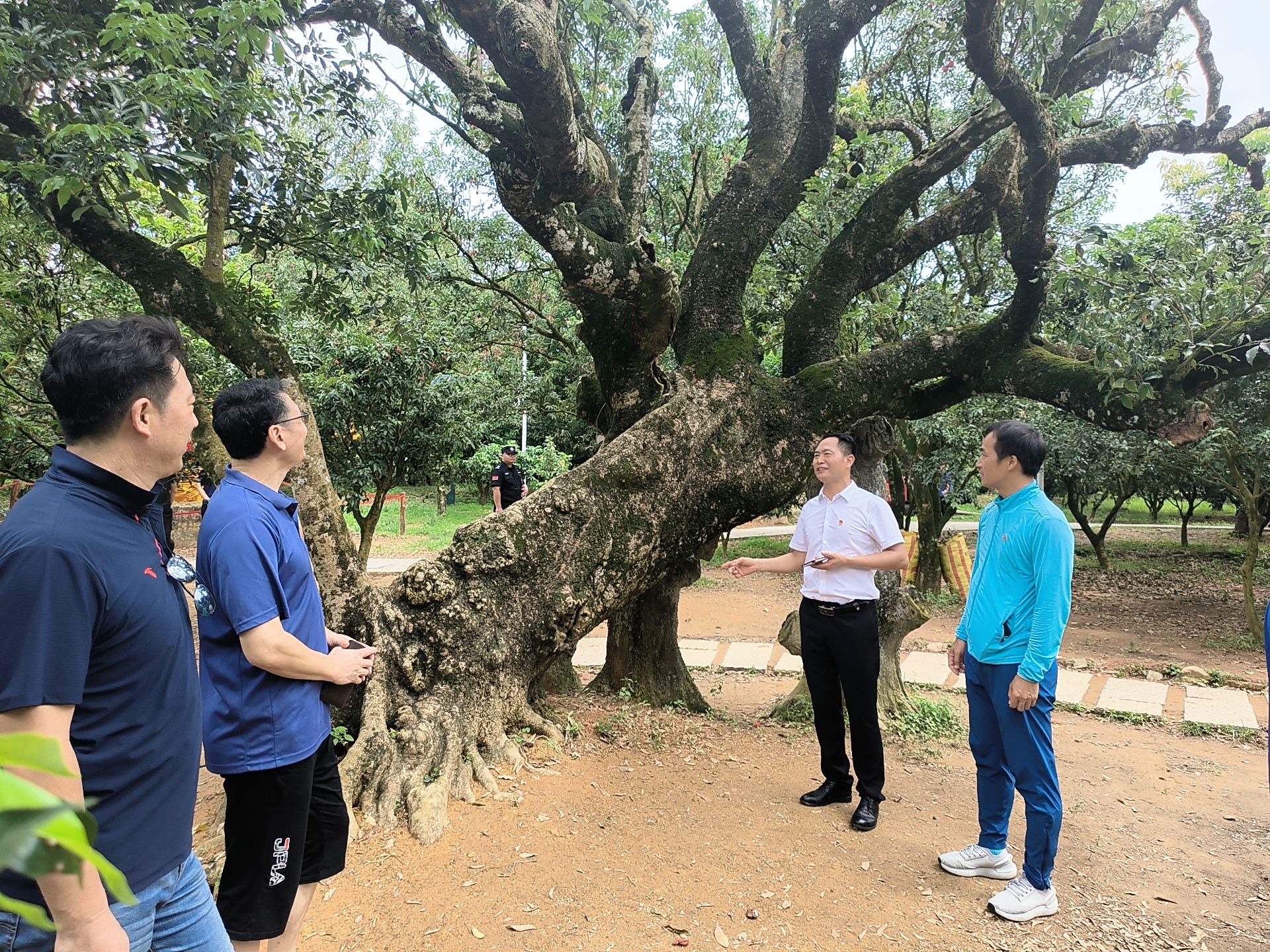 b153e3b9fbb2fb898cdf667e4ba5a82