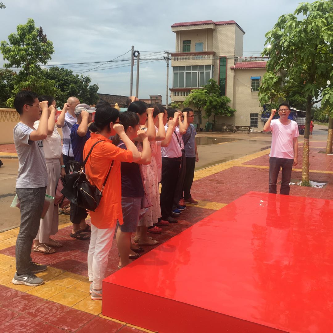 全体党员重温入党誓词