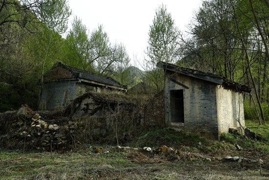 说明: http://zqb.cyol.com/images/1/20190520/1558290955431_1.jpg