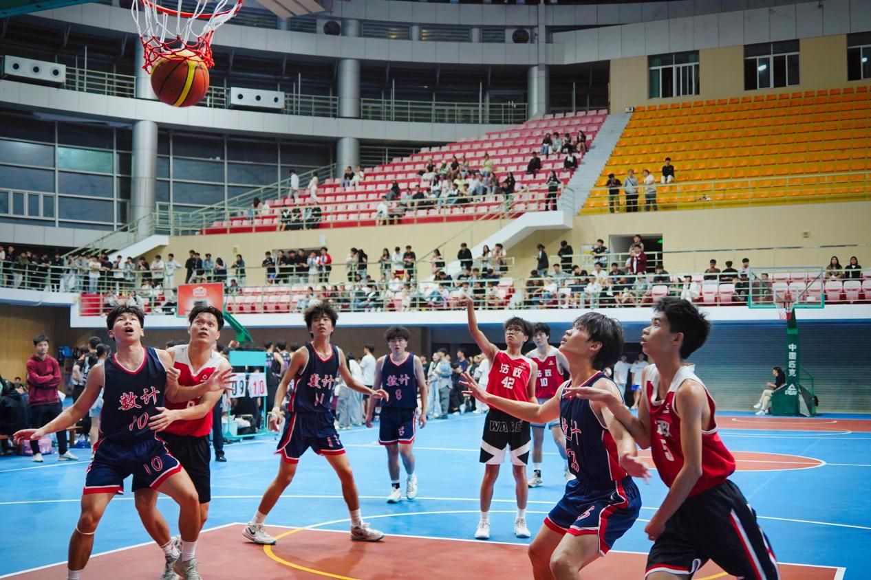 法政男篮精彩表现