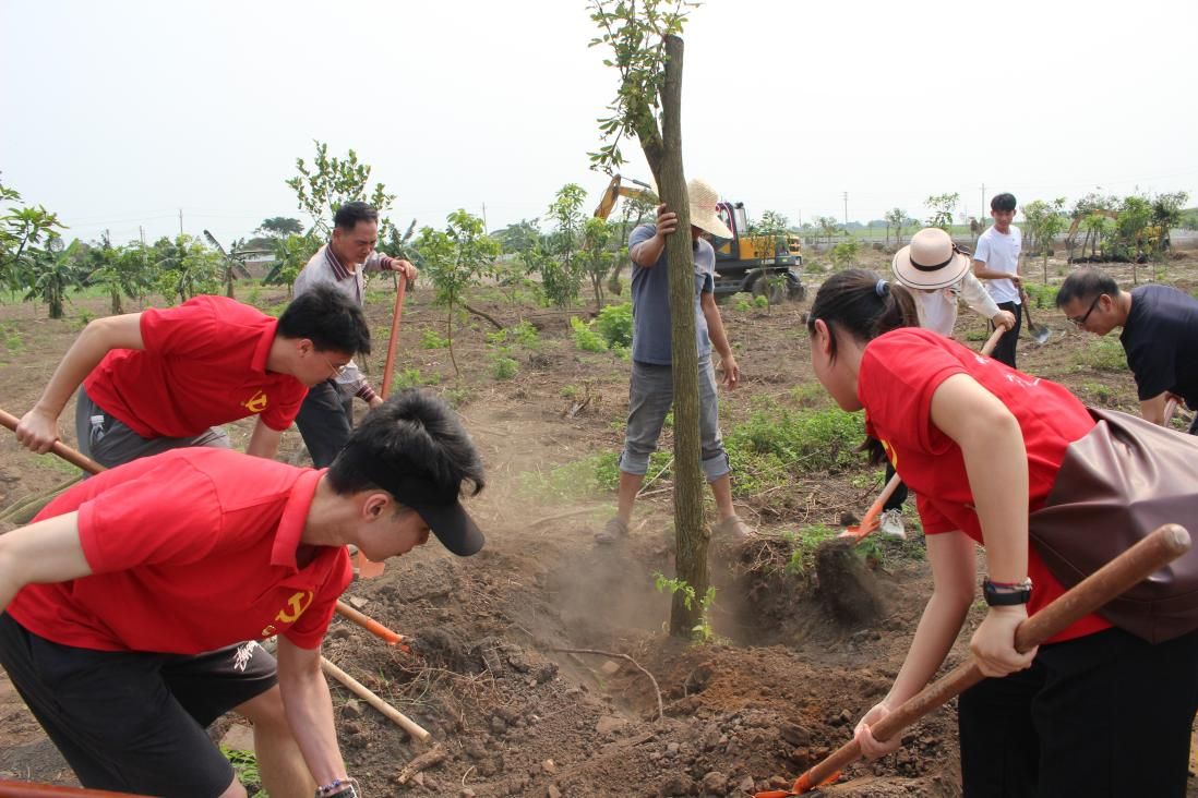 说明: 0d8f81e66772bdba623729208f33c21