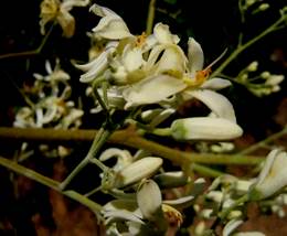 20130620010237-281505722