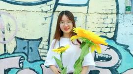 b5ca9d40331264af40f39fa34cbff736