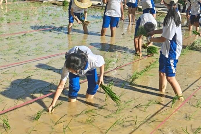 一群小孩在沙滩上跳 AI 生成的内容可能不正确。