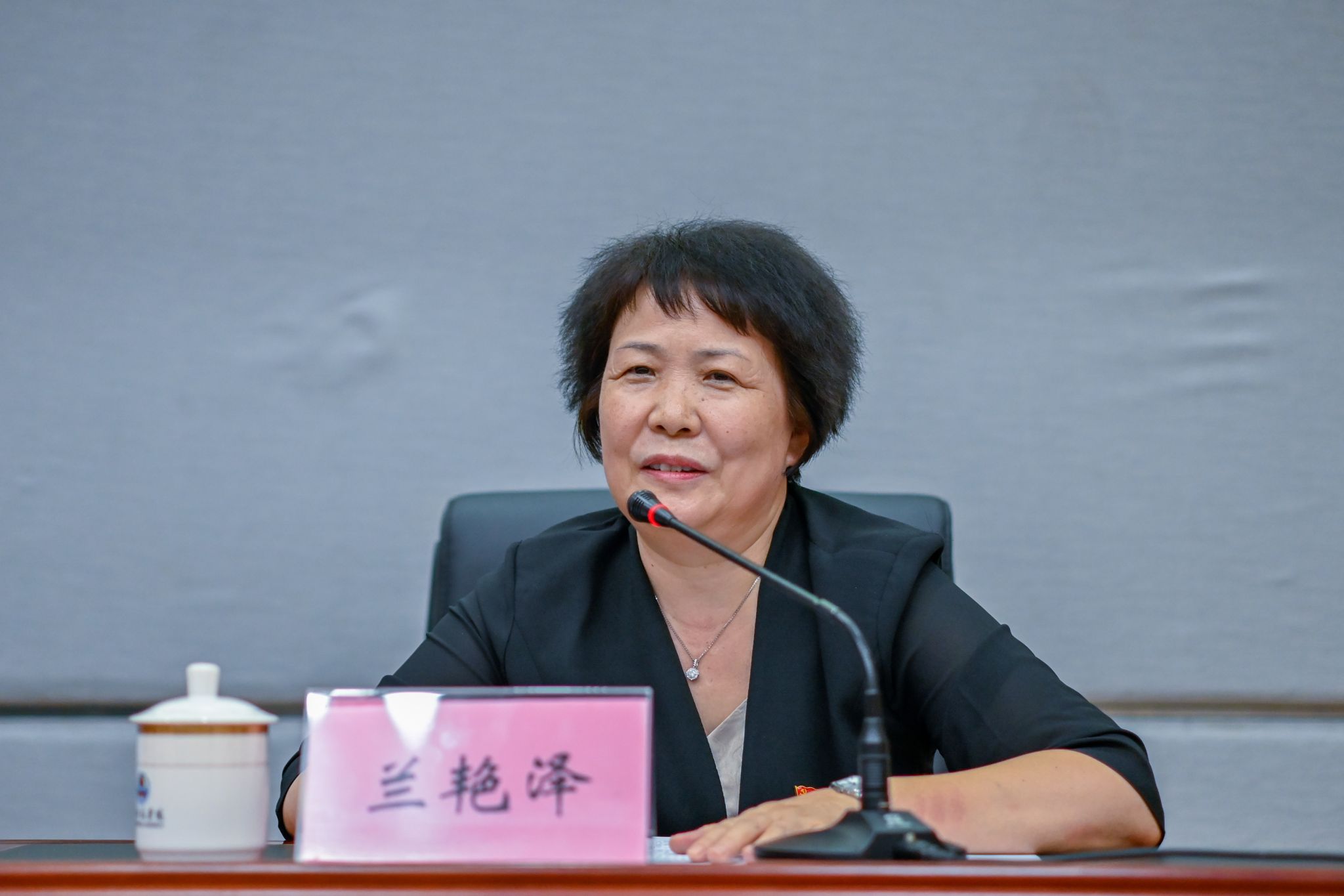 佟烨摄--兰书记特写 (3).JPG