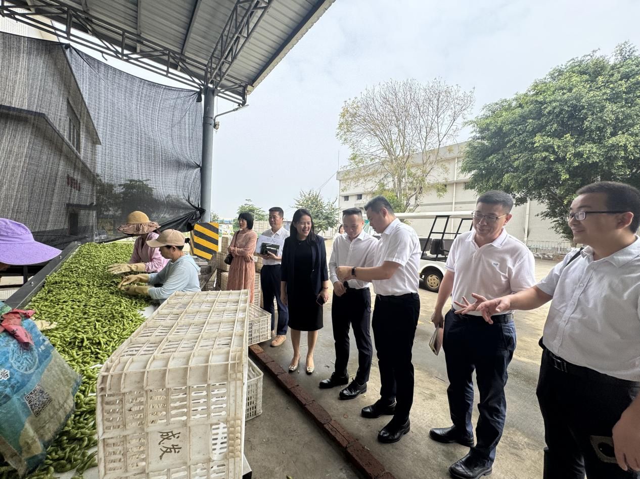 6382574ebacd80ae9f3e341a3317148