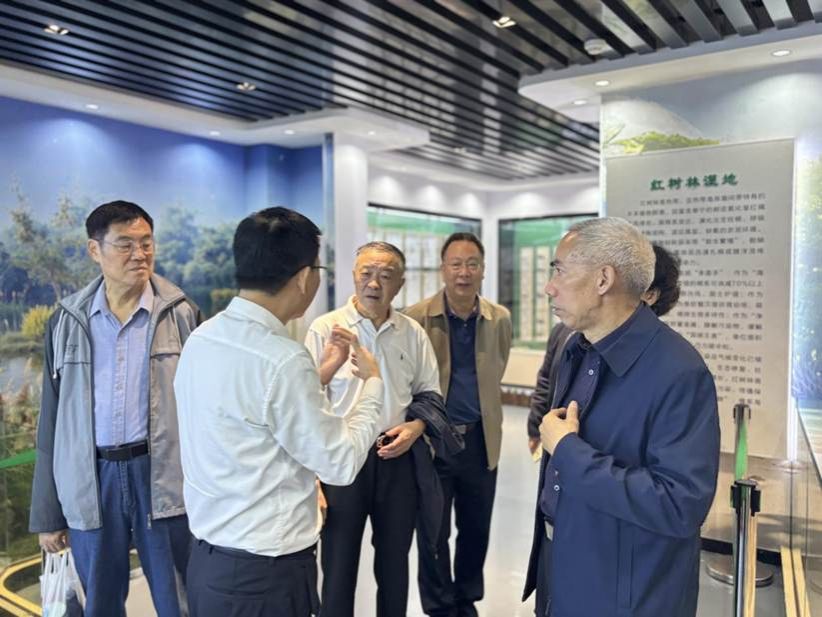 fd0950fe6c28475f97e938ae241610b