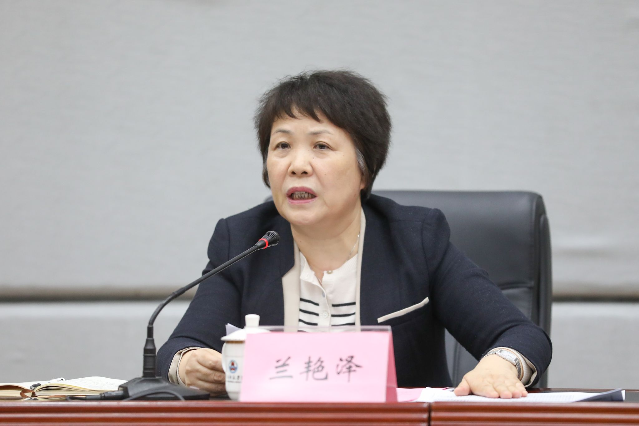 2 党委书记兰艳泽讲话.jpg