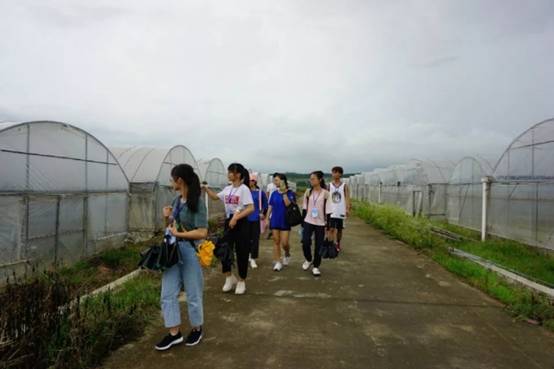 08f31f280f346086dd69ecbf0e2621f