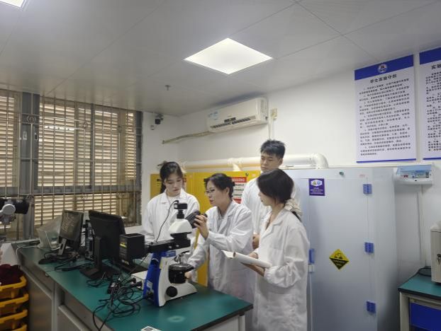 8a8e3b3906a13e7602c65742677d40d