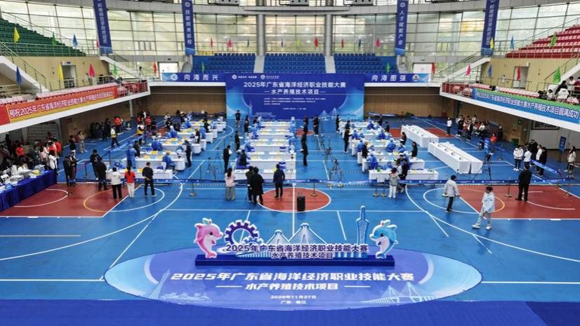 BA3A0400-opq4157300977