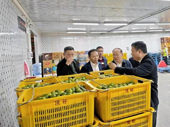 c88f79e2880fd0e8308a512fc1b96efe