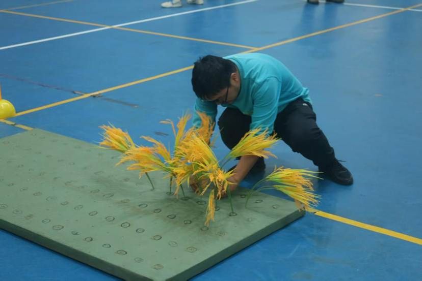 e31adce9b75e793f7591767308357998