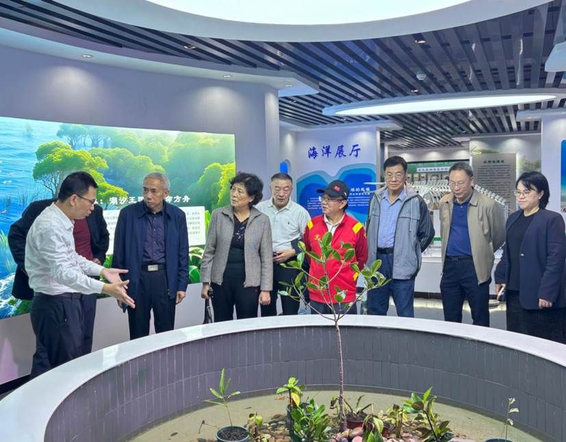 576af66627303aa9620bfd062b1c23c