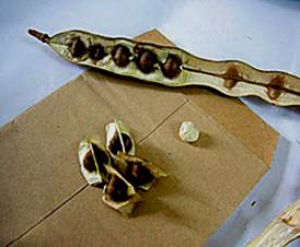 133506392_14061614360621n